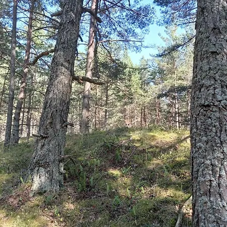 Apartment House, Garden & Sauna. Free Parking. Train Stop-200 M. Sea-1 Km. *