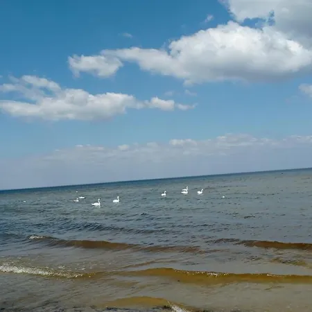 Apartment House, Garden & Sauna. Free Parking. Train Stop-200 M. Sea-1 Km. Jurmala